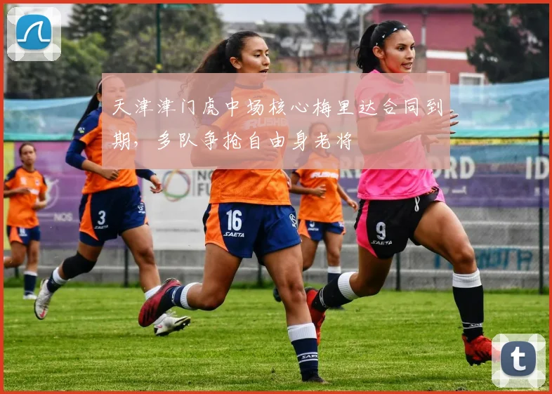 天津津门虎中场核心梅里达合同到期，多队争抢自由身老将